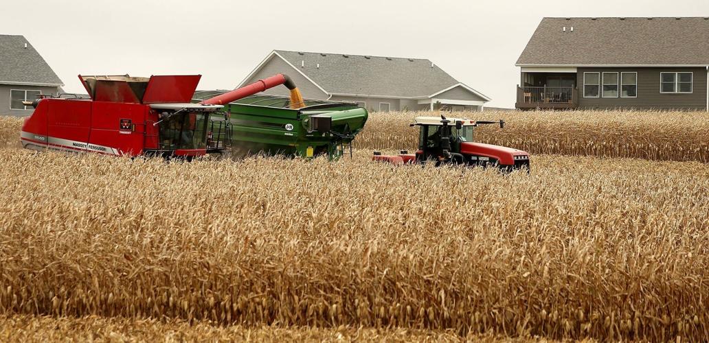 102517-North-Bett-031