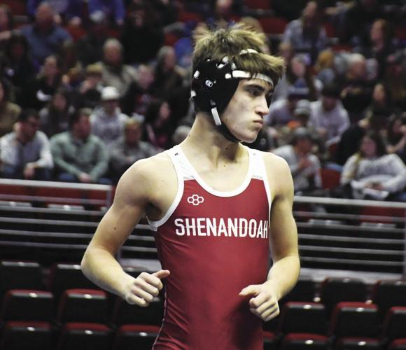 Davin Holste, Shenandoah