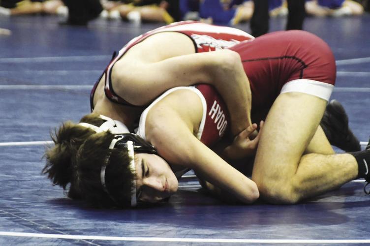 Davin Holste, Shenandoah