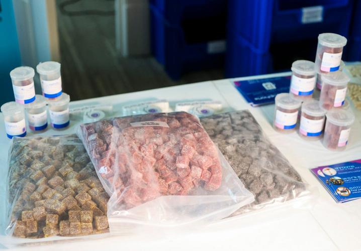 LIFE-HEALTH-PSYCHEDELICS-CONCERNS-4-PT