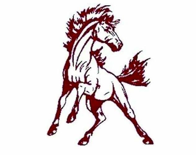 Shenandoah logo