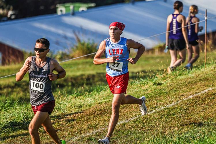 Luke Daoust, Shenandoah