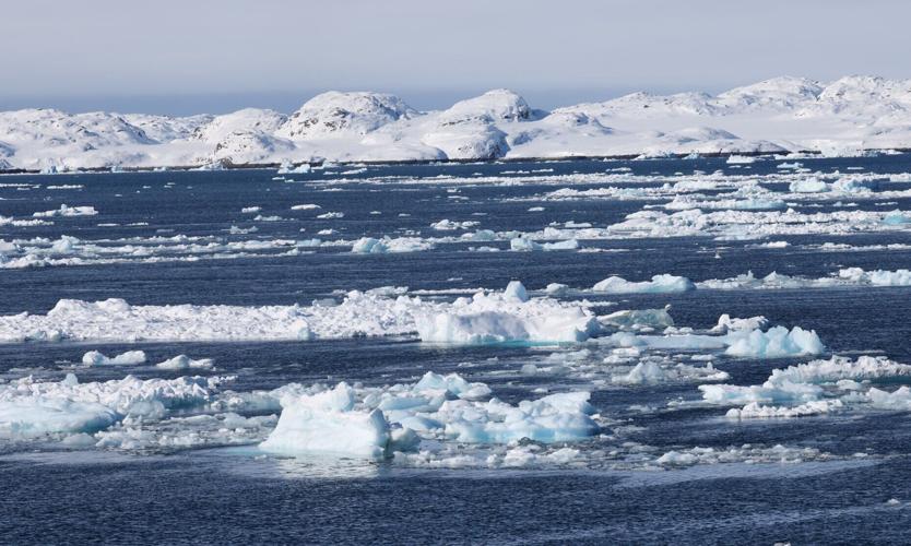 FILE PHOTO: A view of ice floating in the fjord of Greenland's capital Nuuk