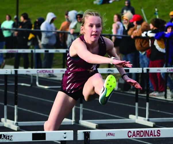 Averie Cook, Shenandoah