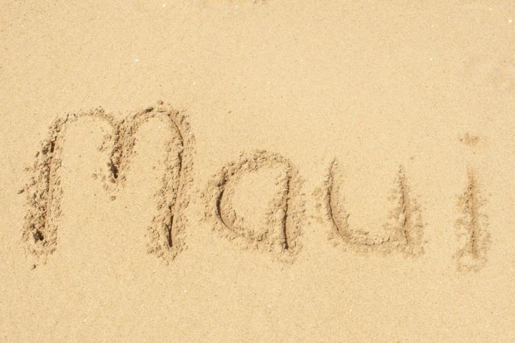 ogintz-maui-20240208