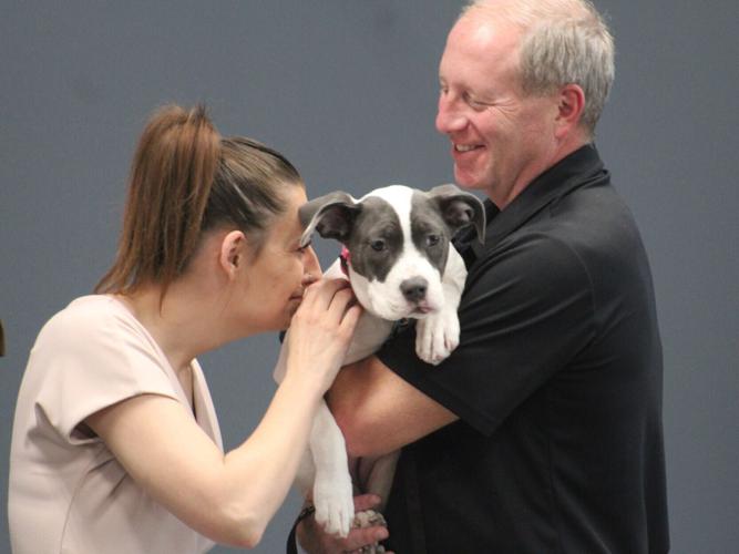lgaz-20260512-news-dmb-reynolds-animal-torture-2
