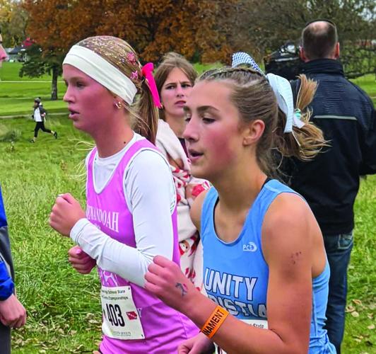 Ava O'Rourke, Shenandoah