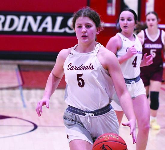 Aylah Johnson, Clarinda