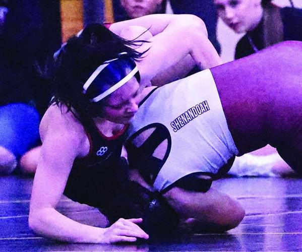 Welchans vs Nelson 2.jpg