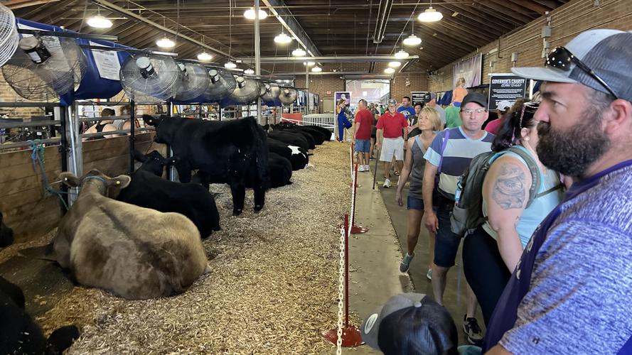 Iowa State Fair