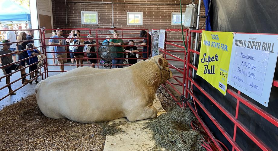 Iowa State Fair