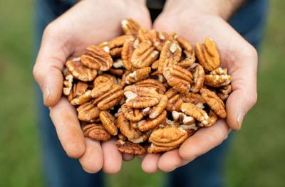 Issue No. 39: Pecans in Tulsa, Oklahoma