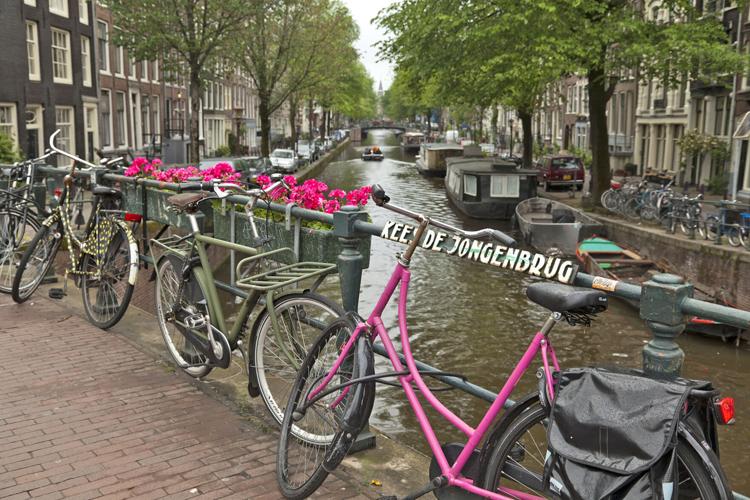 steves-bicycles-20201124