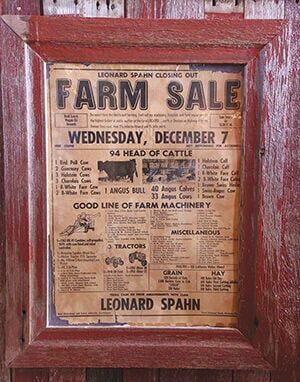 aaIMG_6248 - Copy.jpg