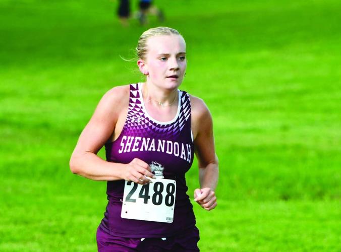 Sloane McGinnis, Shenandoah