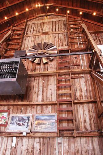 aaIMG_6275 - Copy.jpg