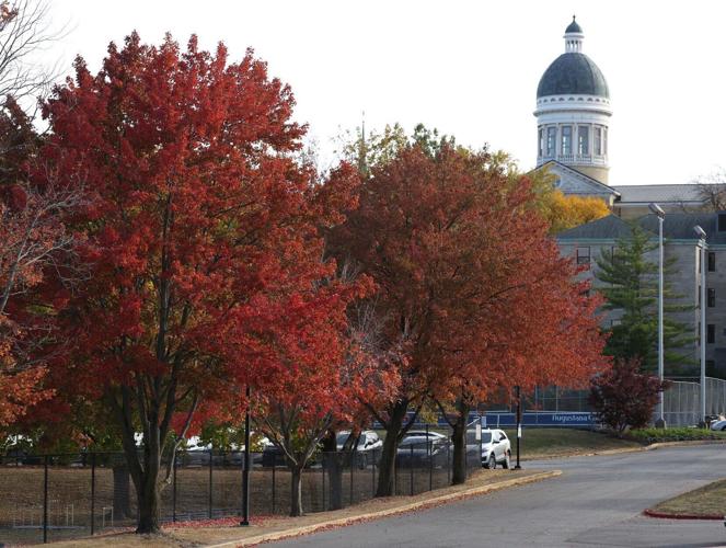 103124-qc-nws-colors