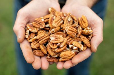 Issue No. 39: Pecans in Tulsa, Oklahoma