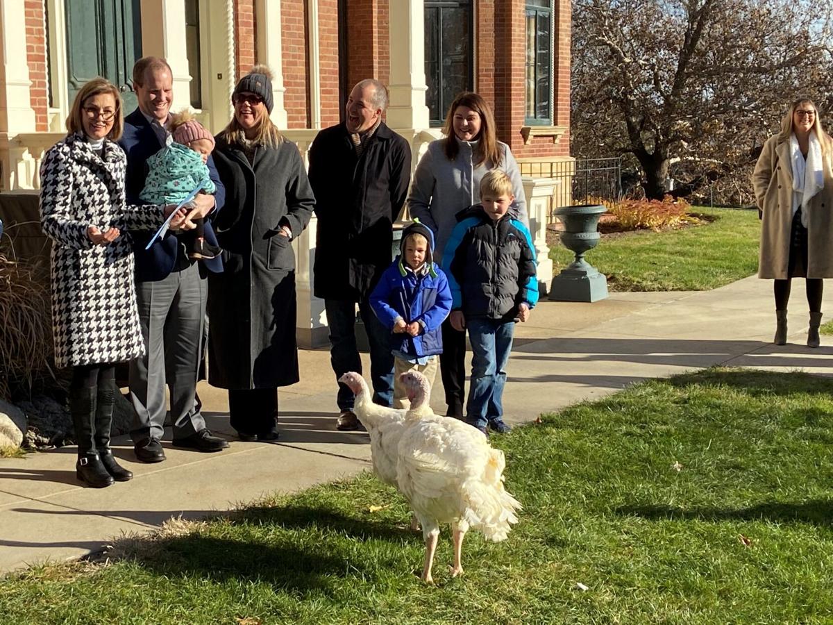 Reynolds signals return to normal with turkey pardon