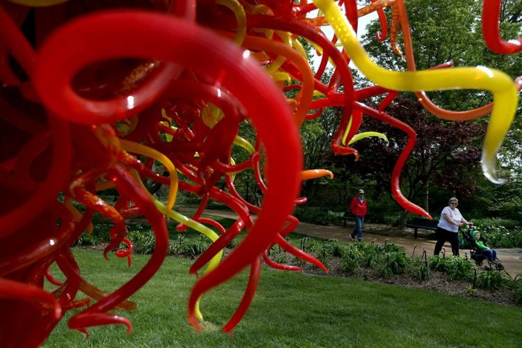 Glass artist Chihuly will bring ‘most ambitious' exhibition to Missouri Botanical Garden