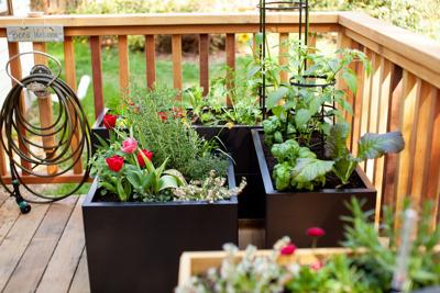 living-space-scraps-20260714