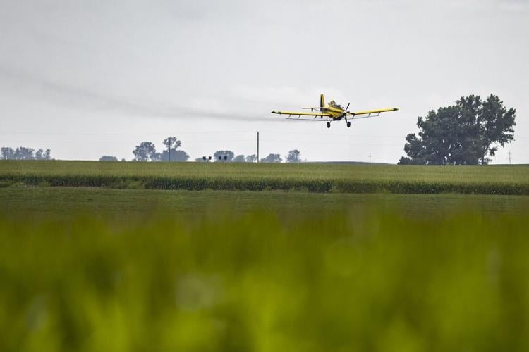 3bb1eab3-83cb-5dad-8629-cc036632c1f9