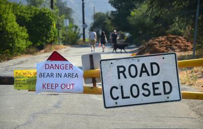 Hikers ignore a warning on road closure due to a bear attack last weekend which closed the Millard Campground in Altadena, California, on June 29, 2016.