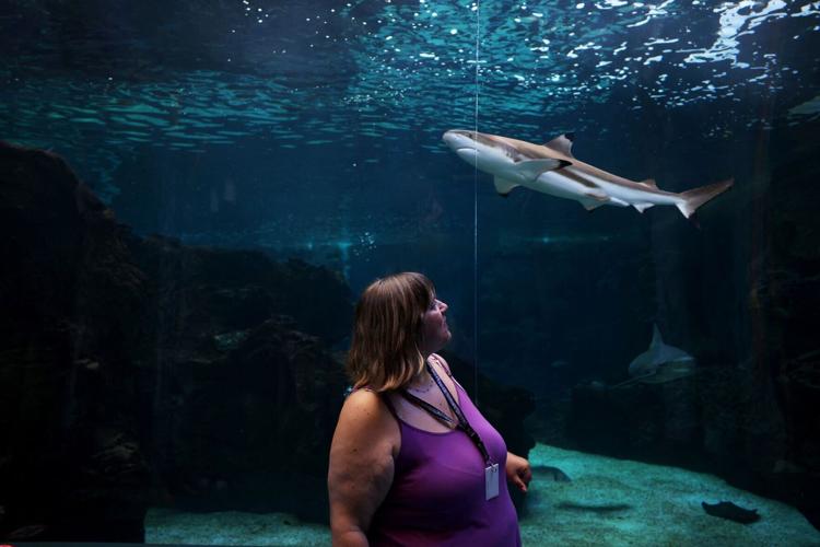 Invasive species thrive as Mediterranean waters heat up