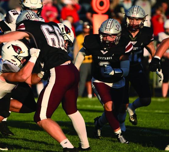 Ethan Laughlin Shenandoah