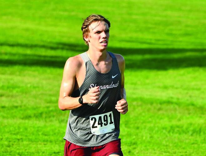 Carter Buttry, Shenandoah