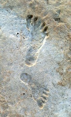 The fossil footprints