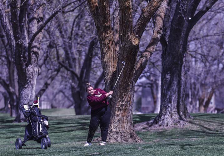 Alaina Anderson, Shenandoah