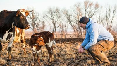 The art of 21st-century cheese production at Lost Lake Farm