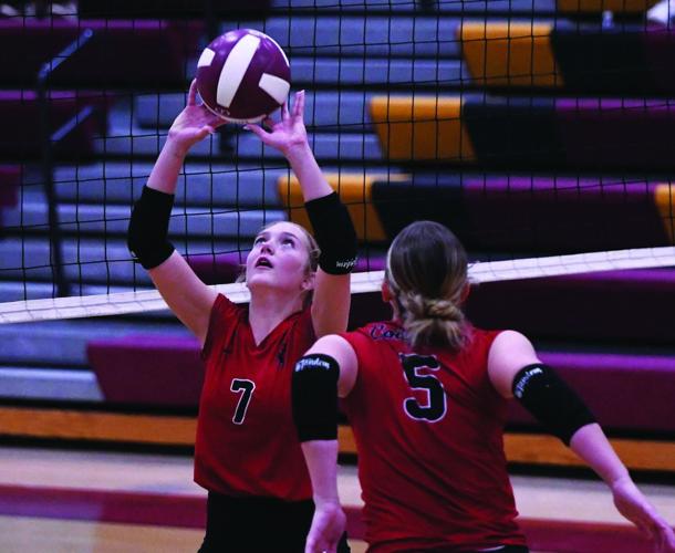 Addy Foster, All-Sports All-Area