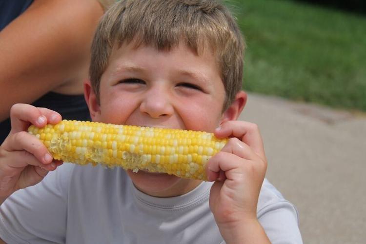 Roland Shindelar, 6, of Adel, eats an ear of sweet corn on Aug. 9, 2025, during Adel's Sweet Corn Festival.