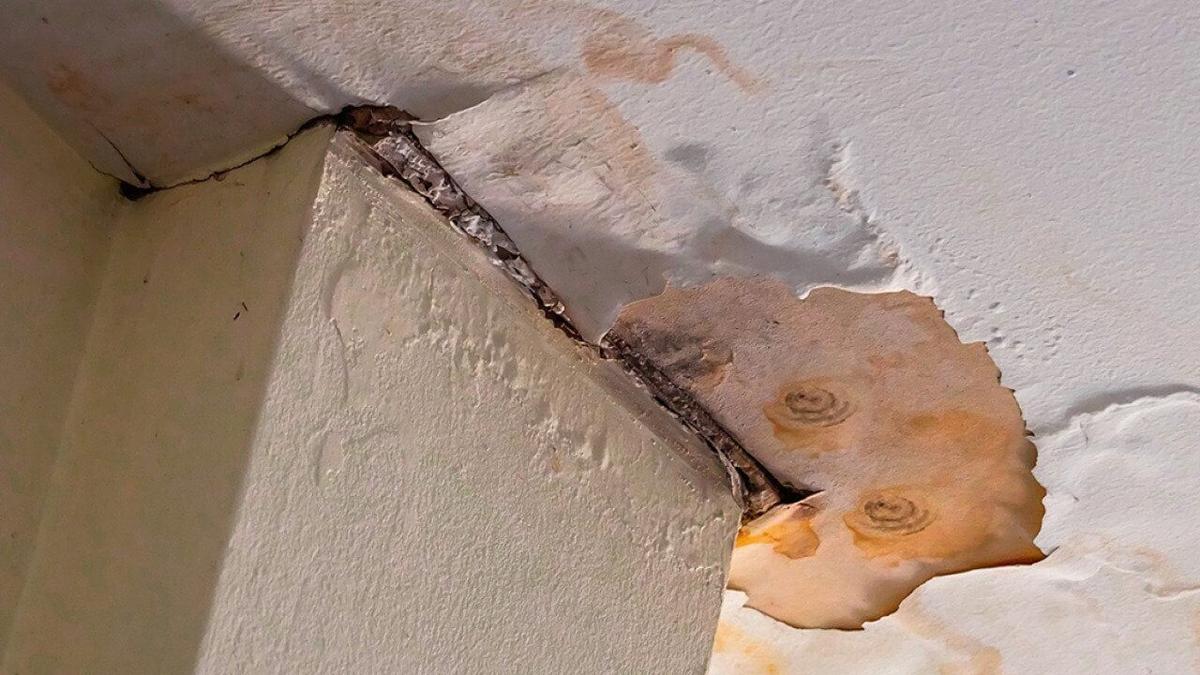 How does mold remediation work in a residential property?