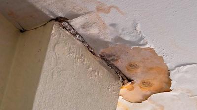 How does mold remediation work in a residential property?