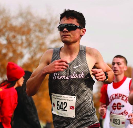 Luke Daoust, Shenandoah