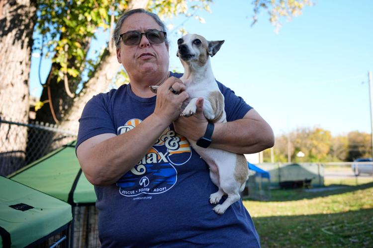 Government Shutdown Food Aid Pets