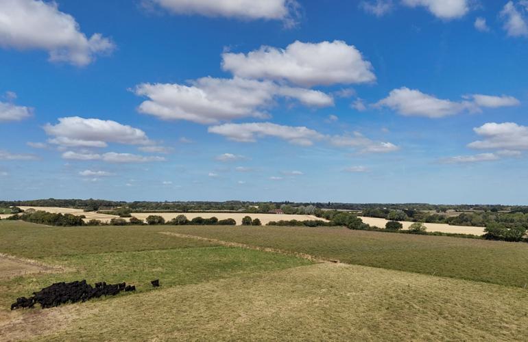 British farmer herds his Aberdeen Angus cows through a green pasture after using regenerative practices to resist drought conditions