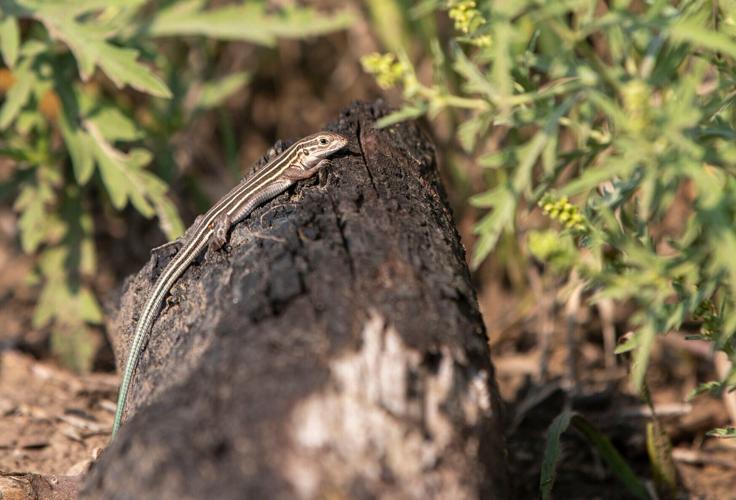 090322-cbn-news-weather-p3