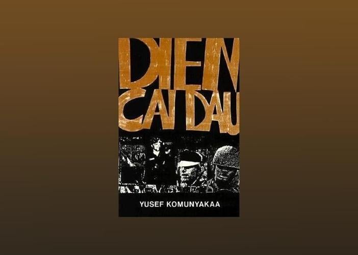 Dien Cai Dau