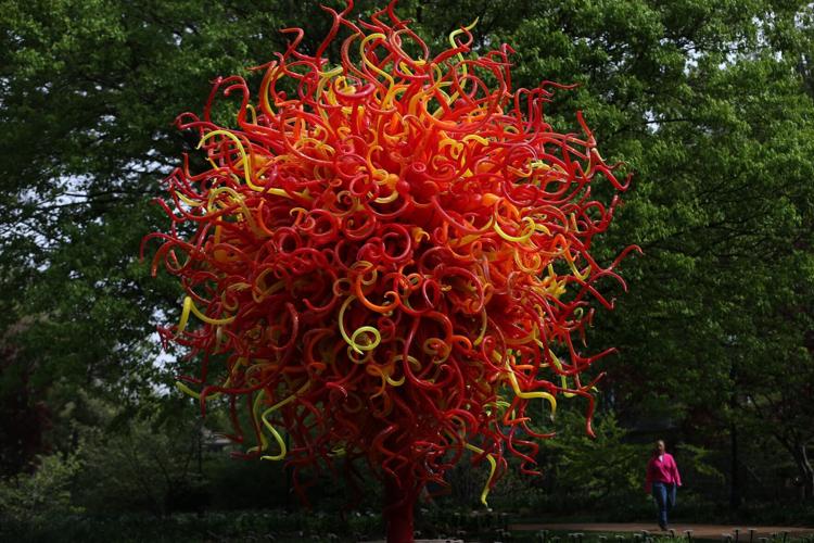 Glass artist Chihuly will bring ‘most ambitious' exhibition to Missouri Botanical Garden