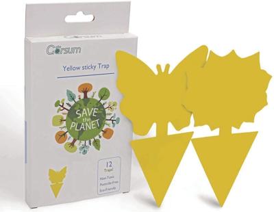 Amazon gnat trap_CMYK.jpg