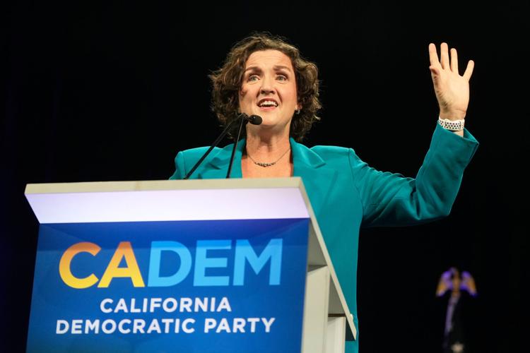 California Democratic Convention Katie Porter