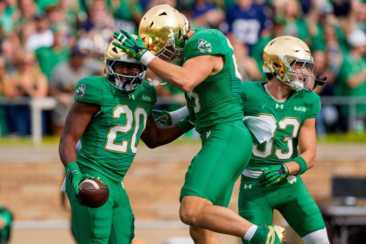 Notre Dame running back Jonaz Walton (20) celebrates after scoring a touchdown during a NCAA football game against Stanford at