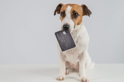 How to manage the rising costs of being a pet parent