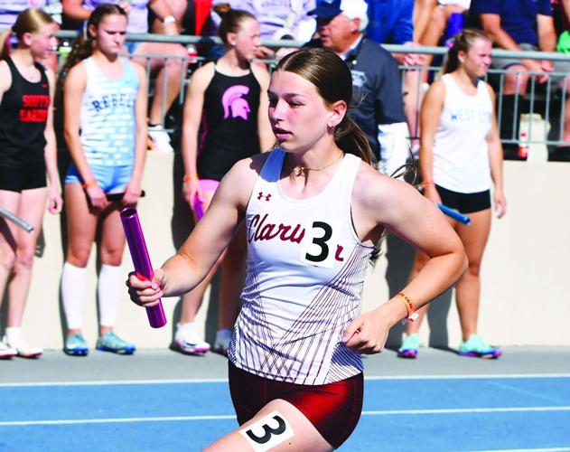 Ellery Bird, All-Sports All-Area