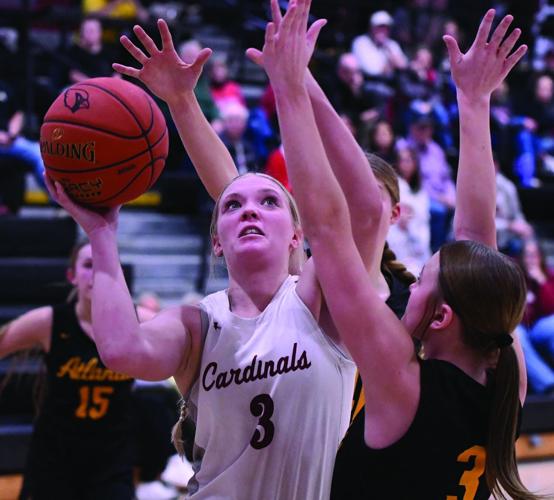 Addison Wagoner, All-Sports All-Area