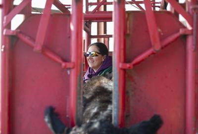 79542f7f-22aa-52f3-9e48-3df68a9ec700